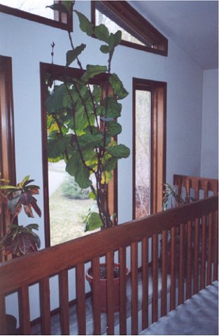Looking over the front door. The ledge is detached from the landing; the gap allows light into the foyer.
