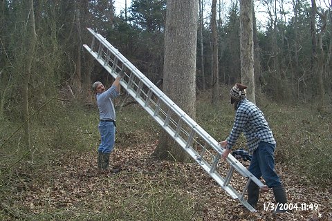 Tony and Damon setting up the ladder.  It's lightweight but still a handful when you have to bring it into the forest.