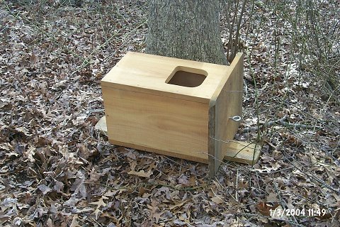 The nesting box.  You can buy your own from Zlar Gardens, zlar@optonline.net, 732-928-9403.