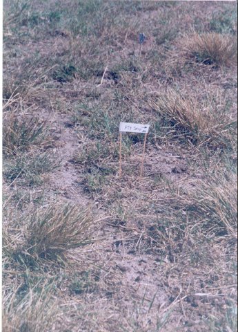 What you don't see is the pile of jackrabbit droppings that the sign points to.