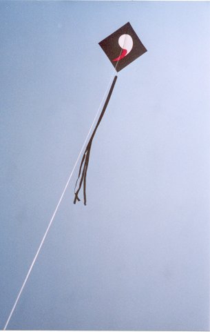 One of my kites, 