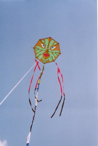 One of my kites, 