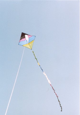 One of my kites, 