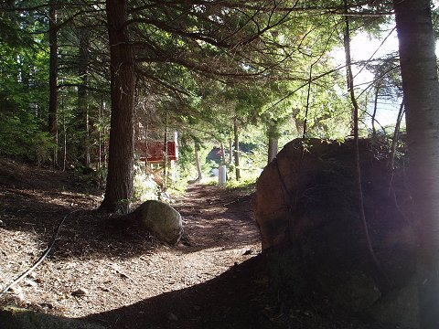 A "formal" path through the camp.  There are lots of "informal" paths as well.