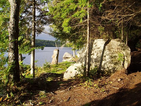 The view back from the "formal" path, towards our guardian.