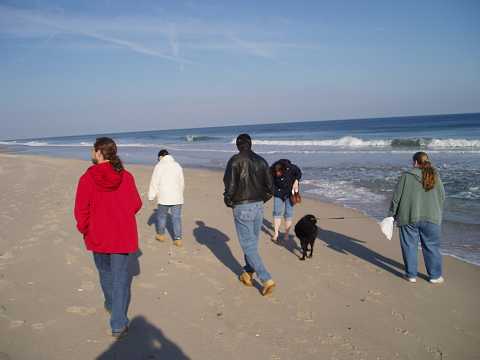 Looking for beach glass. BHD claims all the blue ones.