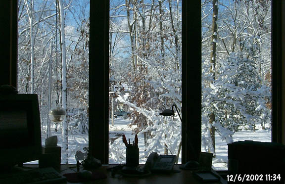 Snow-covered trees through darkened windows.