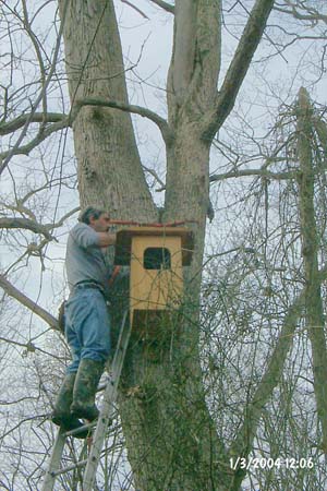 Tony Santa Maria, of The Jackson Pathfinders, installs a Barred Owl nesting box.